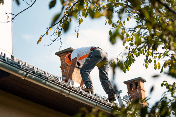 Best Metal Roofing Contractor  in Untain View, MO