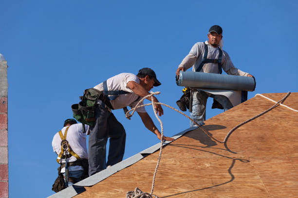 Gutter Installation and Roofing in Mountain View, MO