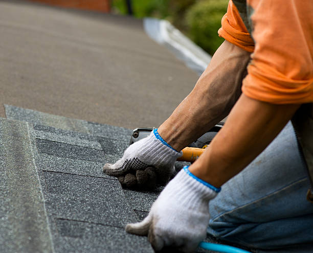 Best Shingle Roofing Installation  in Untain View, MO