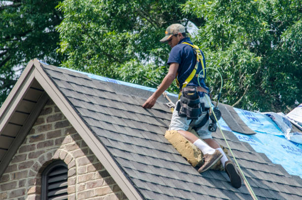 Roof Repair Estimates in Mountain View, MO